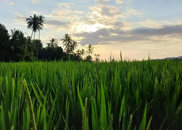 Bali De Pardis Munduk