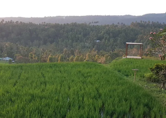 Bali De Pardis 4* Munduk