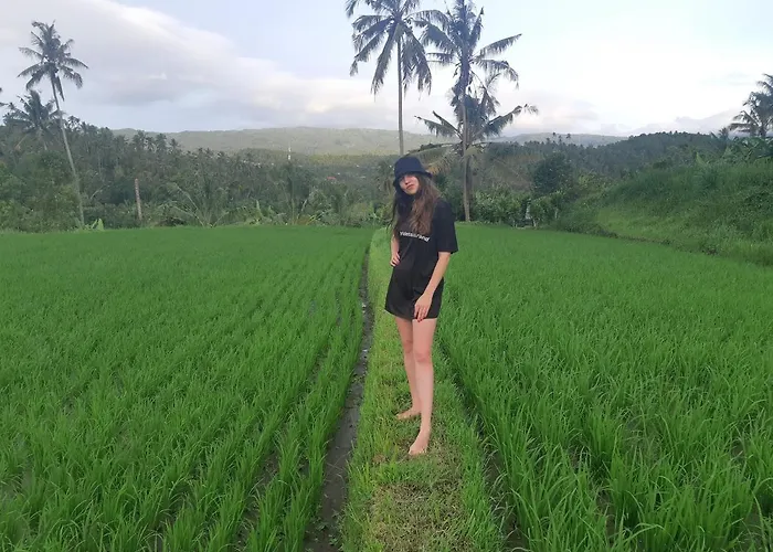 Gasthof Bali De Pardis Munduk