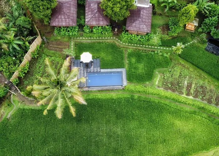 Bali De Pardis Munduk