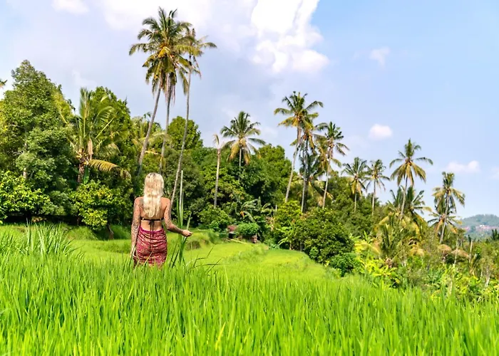 Bali De Pardis 4* Munduk