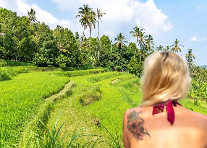 Bali De Pardis 4*