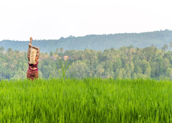 Bali De Pardis Gasthof Munduk